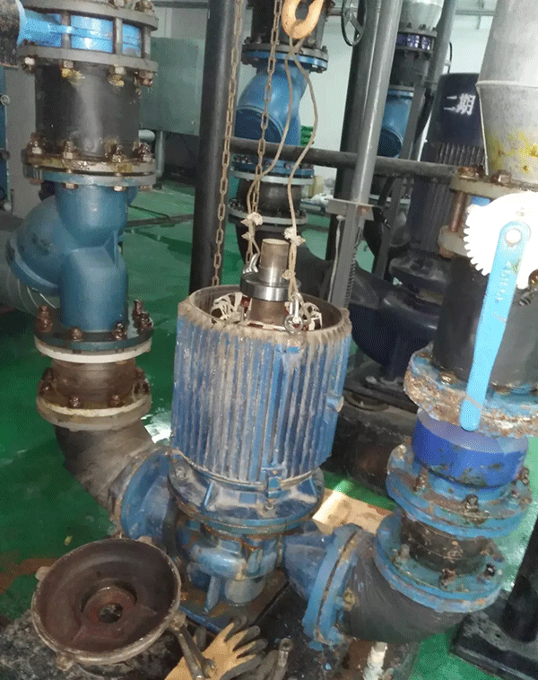 電機如何適應變頻起動新技術——西安泰富西瑪電機(西安西瑪電機集團股份有限公司)官方網站 電機如何適應變頻起動新技術——西安泰富西瑪電機(西安西瑪電機集團股份有限公司)官方網站